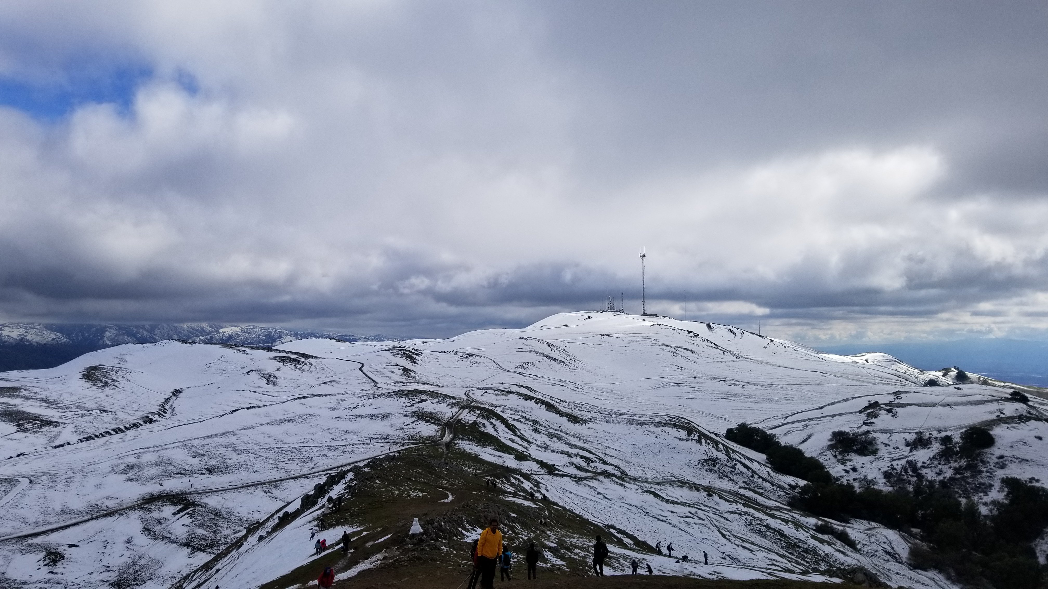Snowy antennas.